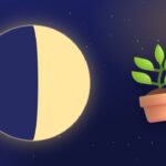 Ilustração: Plantar, no céu noturno